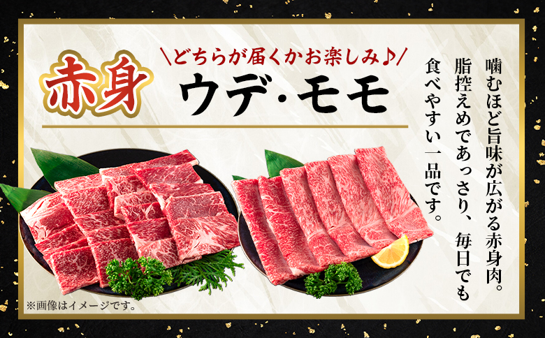 ＜宮崎牛赤身【焼肉】（ウデorモモ）300g＞【4月発送】脂控えめ ヘルシー あっさり うで もも 炒め物 肉料理 ご馳走 国産 ブランド牛肉 黒毛和牛【MI681-my-apr】【ミヤチク】