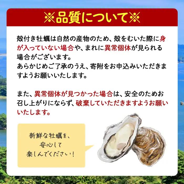 殻付き牡蠣（生食用）冷凍 18個（約1.5kg） 生牡蠣 宮城県産 牡蛎 牡蠣 カキ かき 生食 オイスター カキフライ 牡蠣鍋 海鮮 国産 魚貝類 バーベキュー BBQ 【末永海産株式会社】ta67