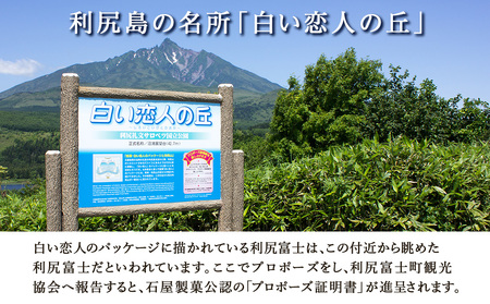 【定期便 3カ月】【白い恋人に描かれた利尻山】白い恋人（ホワイト＆ブラック）36枚缶入【定期便・頒布会】