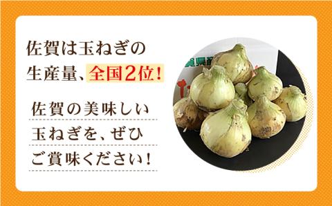 【毎日のお料理に】江北町産 たまねぎ 約10kg【百武青果】 [HAE017]