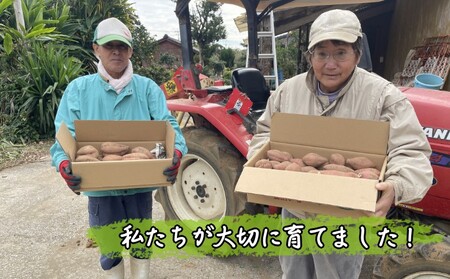 【  新物 ・ 先行予約中 】 まなつか農園の 種子島 安納いも  (生いも) SSサイズ 6kg　NFN550 【300pt】