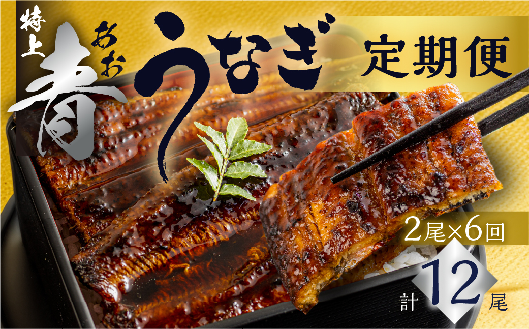 
                  厳選 高級 青うなぎ 蒲焼 2尾 全6回 定期便 合計12尾  ( うなぎ うなぎ定期便 6回 ６ 定期  6ヶ月 6ヵ月 6か月 半年  )
                