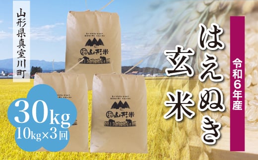 
            ＜配送時期が選べて便利な定期便＞ 令和6年産 真室川町厳選 はえぬき ＜玄米＞ 30㎏ 定期便（10kg×3回お届け）
          