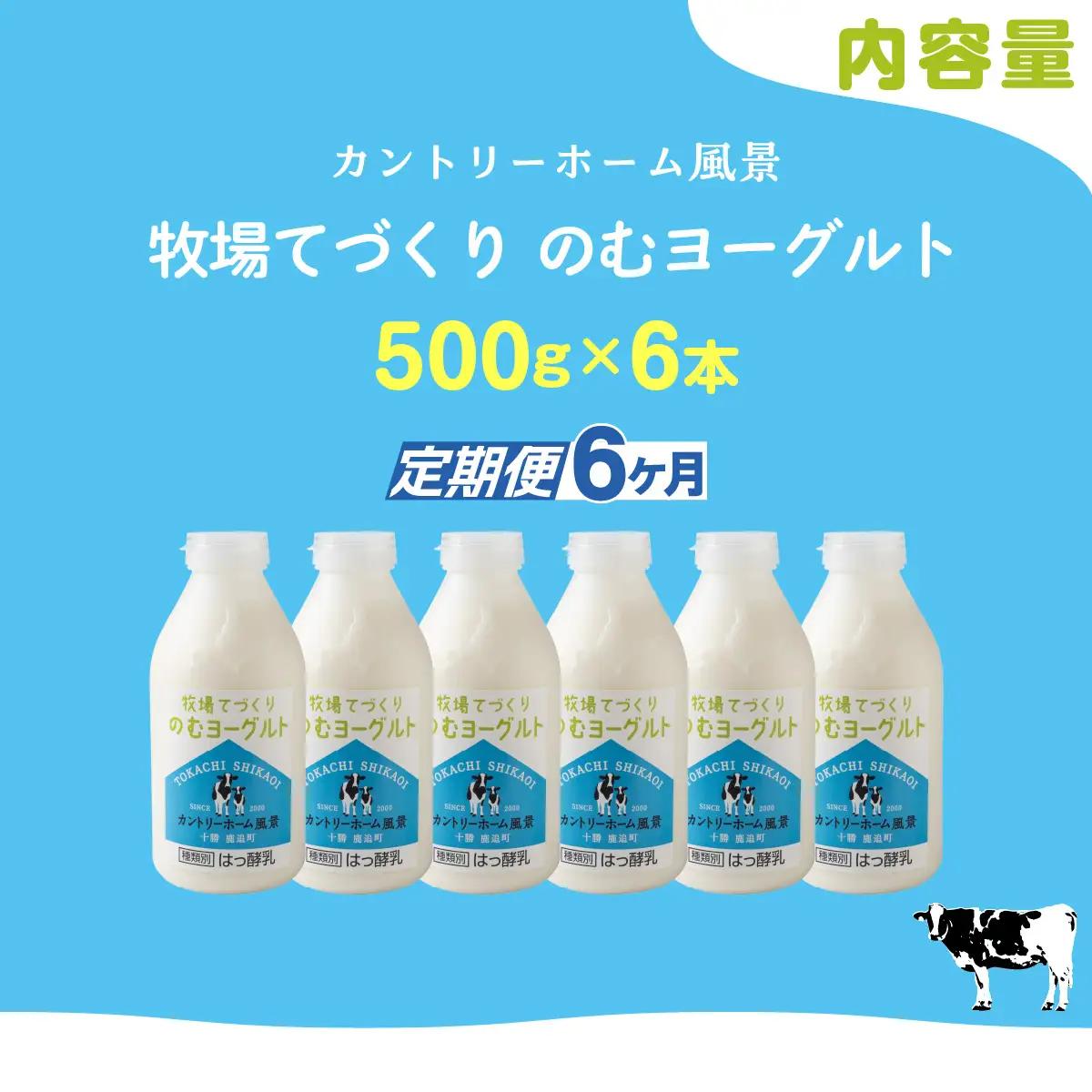 【定期6ヶ月】のむヨーグルト 500g ×6 SKB049