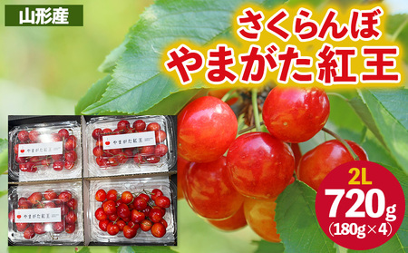 さくらんぼ ”やまがた紅王” 2Lサイズ 720g(180g×4パック) 【令和9年産先行予約】FS26-619