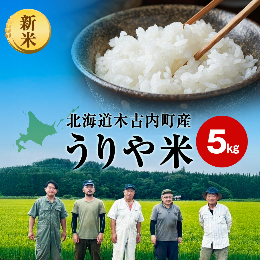 【ふるさと納税】2025年10月より順次発送【秋山農園】うりやの新米　5kg（5kg×1袋）精米 米 お米 白米 北海道米 道産米 ブランド米 ごはん ご飯 ふっくら 産地直送 こめ コメ おこめ 北海道ふるさと納税 木古内町 ふるさと納税 北海道