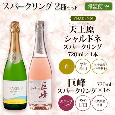 ふるさと納税 笛吹市 山梨県 スパークリング 2種飲み比べ(シャルドネスパークリング・巨峰スパークリング)各1本 笛吹市 |  | 03