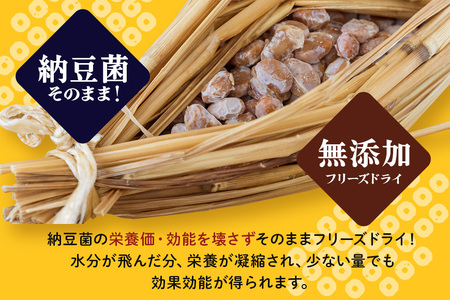 どらい納豆詰合わせセット 10種 納豆 詰め合わせ ドライ納豆 乾燥納豆 干し納豆 ダイエット ギフト 納豆ふりかけ 国産 おつまみ おやつ お菓子 おかし スナック 腸活 タンパク質 たんぱく質 小