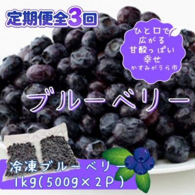 【毎月定期便】冷凍ブルーベリー1kg(500g×2パック)全3回【配送不可地域：離島】【4092938】