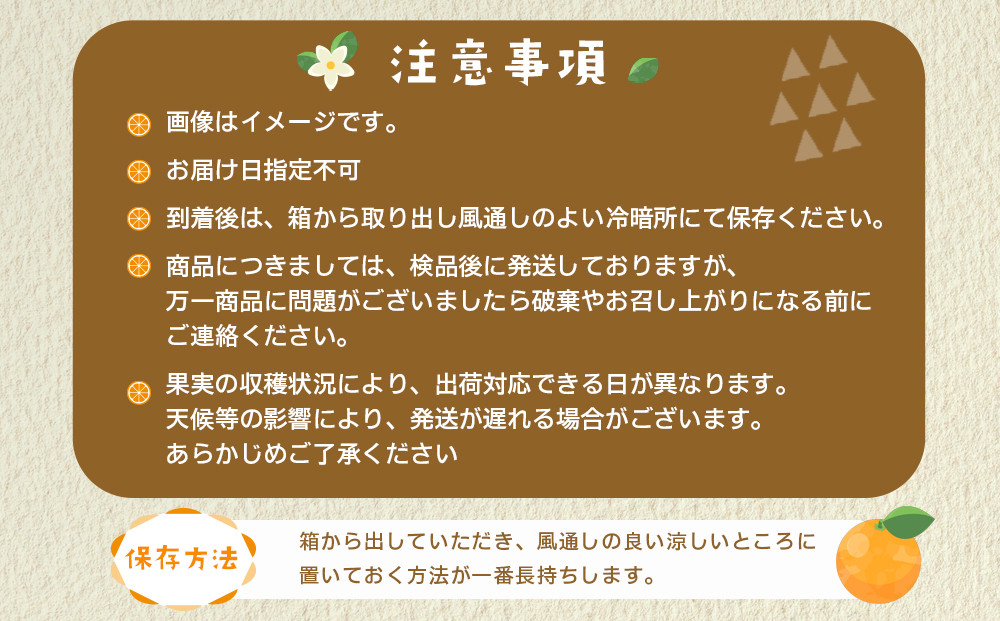 産地直送 有田みかん サイズ 不揃い 約5kg 喜楽farms 【2025年11月以降順次発送】