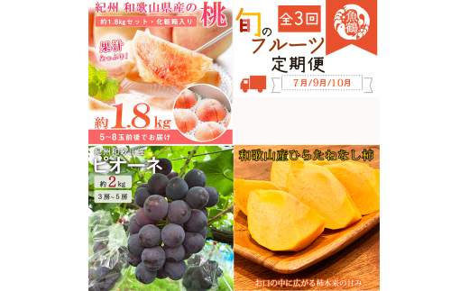 【7・8・10月 全3回】紀州和歌山産旬のフルーツセット（桃・ピオーネ・ひらたねなし柿）定期便 【魚鶴商店】【UT67】
