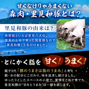 房総ブランド豚　里見和豚　小分け　肩ロース肉スライス450g（150g×3パック）個別包装トレイ不使用 mi0017-0005