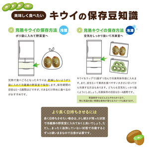 【先行予約】 【11月上旬から発送】 キウイフルーツ ヘイワード約5㎏ 大中小サイズ混合 家庭用 | キウイ キウイ キウイ キウイ キウイ 【RNK019】