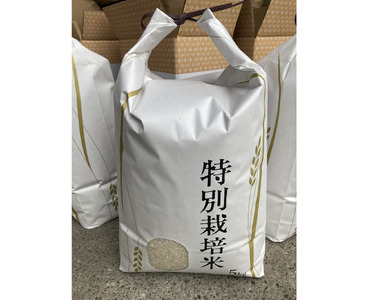 お米 令和7年産 5kg ヒノヒカリ 特別栽培米  先行予約  【2025年11月以降発送】 精米 米 こめ コメ 白米 ごはん ライス 愛媛 伊予市｜C149