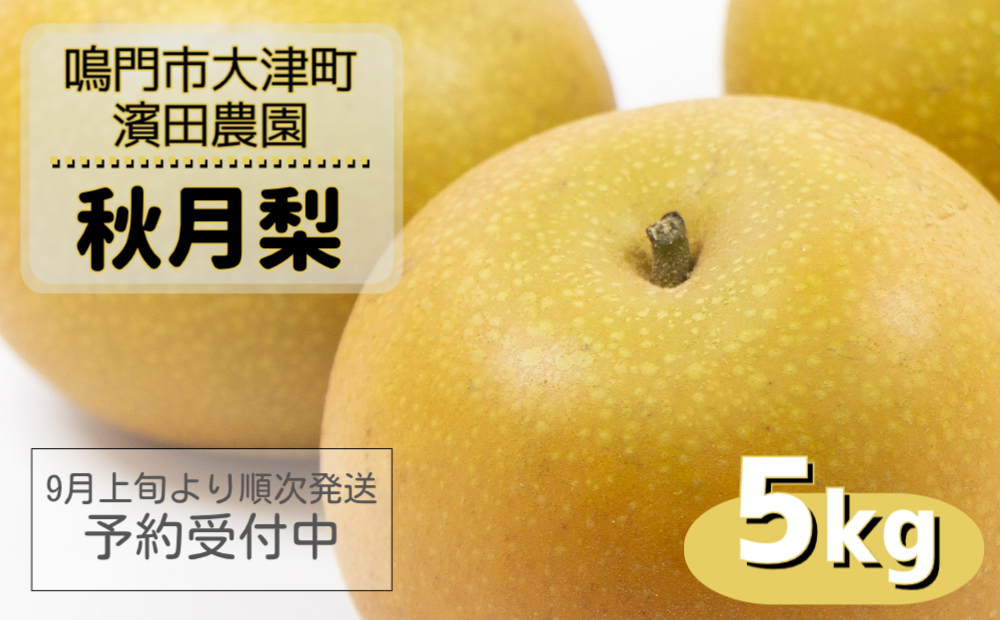 【濱田農園】 秋月梨 約5kg 【数量限定】【予約受付中・9月上旬より順次発送】フルーツ 果物 梨 ナシ 旬の梨 秋の梨 旬のフルーツ 秋のフルーツ 鳴門の梨 徳島県産 フルーツ 果物 幻の梨 旬の果物 秋の果物 和梨 香梨 新興 幸水 フルーツ 梨 果物 
