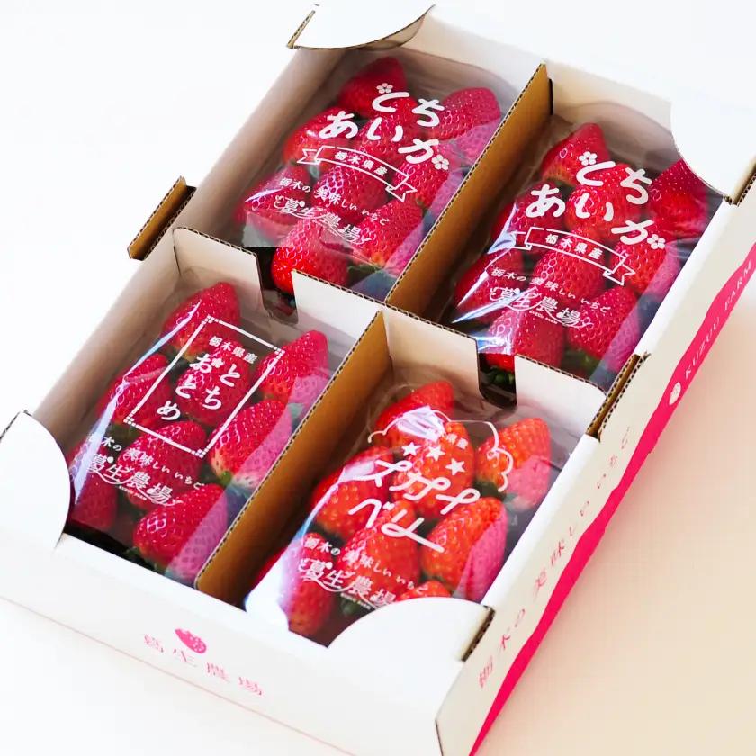 【春イチゴ】「2品種以上組み合わせ!」食べ比べセット(260g×4パック)_果物・フルーツ いちご  イチゴ 苺_【配送不可地域：離島】【1589308】