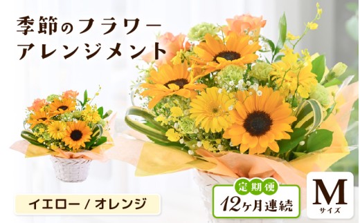 定期便 ≪12ヶ月連続お届け≫ 選べるカラー 季節のフラワーアレンジメント M (イエロー・オレンジ) 【お花 フラワー アレジメント 花束 ギフト 生花 プレゼント 花束 花 記念日 敬老の日 お祝い】 [L-20703_02]