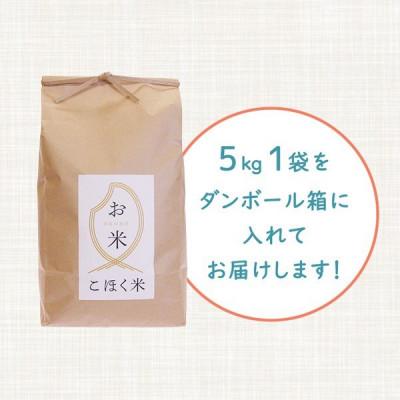 ふるさと納税 長浜市 令和6年産 滋賀県湖北産 湖北のコシヒカリ　玄米　5kg 【食味最高ランク特A 3年連続受賞】 |  | 01