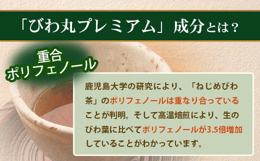 【定期便 全12回】≪12ヶ月連続で毎月お届け≫ びわ丸プレミアム ≪1回あたり(360粒入×1袋) ≫  健康補助食品 びわ茶含有加工食品  TO-15-NP| 国産 びわ茶 びわの葉 サプリメント