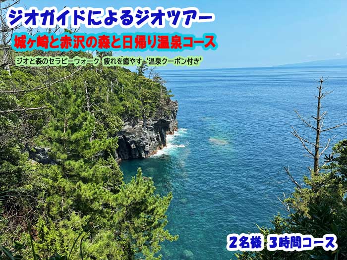 【ふるさと納税】ジオガイドによるジオツアー 城ヶ崎、赤沢の森と日帰り温泉コース 2名様 3時間コース