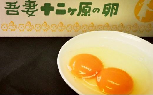 農場直送！吾妻十二ヶ原の卵（20個） 二黄卵 鶏卵 たまご タマゴ 卵 安心 こだわり 食卓 卵かけごはん 堀田養鶏場 群馬県 東吾妻町