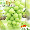 【ふるさと納税】ぶどう シャインマスカット晴王 選べる 約600g 約700g【特選】約1kg 約2kg 橋田商店有限会社《9月中旬-11月中旬頃出荷》 岡山県 浅口市 岡山県産 ぶどう フルーツ 果物 くだもの マスカット 送料無料【配送不可地域あり】