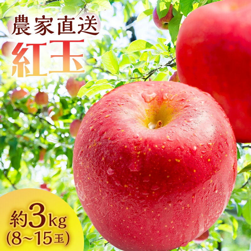 【ふるさと納税】サイキチ農園の紅玉 約 3kg (8～15玉)青森県鰺ヶ沢町産りんご 　お届け：2025年10月上旬～10月中旬