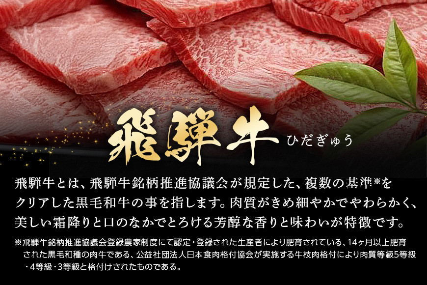 
            配送日指定可能「A5等級 飛騨牛 焼肉用 モモ 500g」冷蔵配送 150日先まで先行予約可能 バーベキュー BBQ 黒毛和牛 2人前 3人前 (461)
          