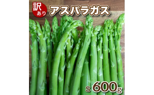 【 先行予約 】訳あり アスパラガス B品 600g 朝採れ 大容量 アスパラ S 有機肥料使用 サイズ混合 訳あり セット SDGs フードロス 食品ロス 支援 期間 限定 野菜 新鮮 夕飯 おかず お弁当 新鮮アスパラ 下関 山口 【2026年7月より発送】