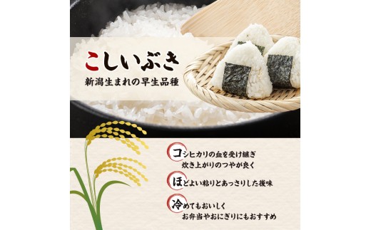 R8年産 新潟県産 品種おまかせ  4kg 新潟県 新潟市産 令和8年産 お米 精米 米 ご飯 送料無料