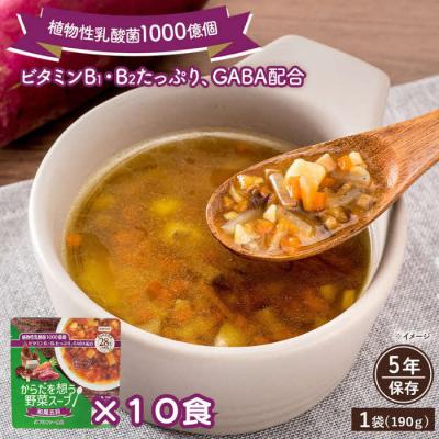 ふるさと納税 出雲市 【からだを想う野菜スープ】和風五目10食セット/レトルト/食物アレルギー対応/長期保存/防災食