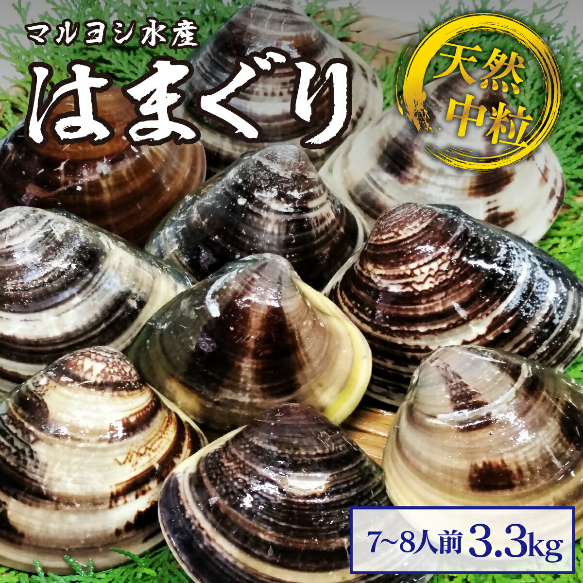 【ふるさと納税】 マルヨシ水産　桑名産中粒天然蛤　3.3kg_はまぐり　ハマグリ　魚介　貝