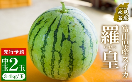 【先行予約】富山県産スイカ 羅皇 中玉 2玉 （3-4kg/玉） 【2026年8月以降順次発送】 スイカ 夏 果物 フルーツ 富山県 氷見市