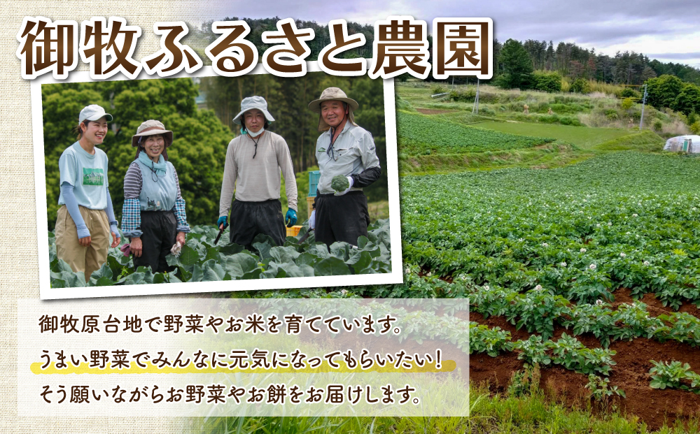 東御市産スイートコーン15本【7月中旬～9月上旬お届け】