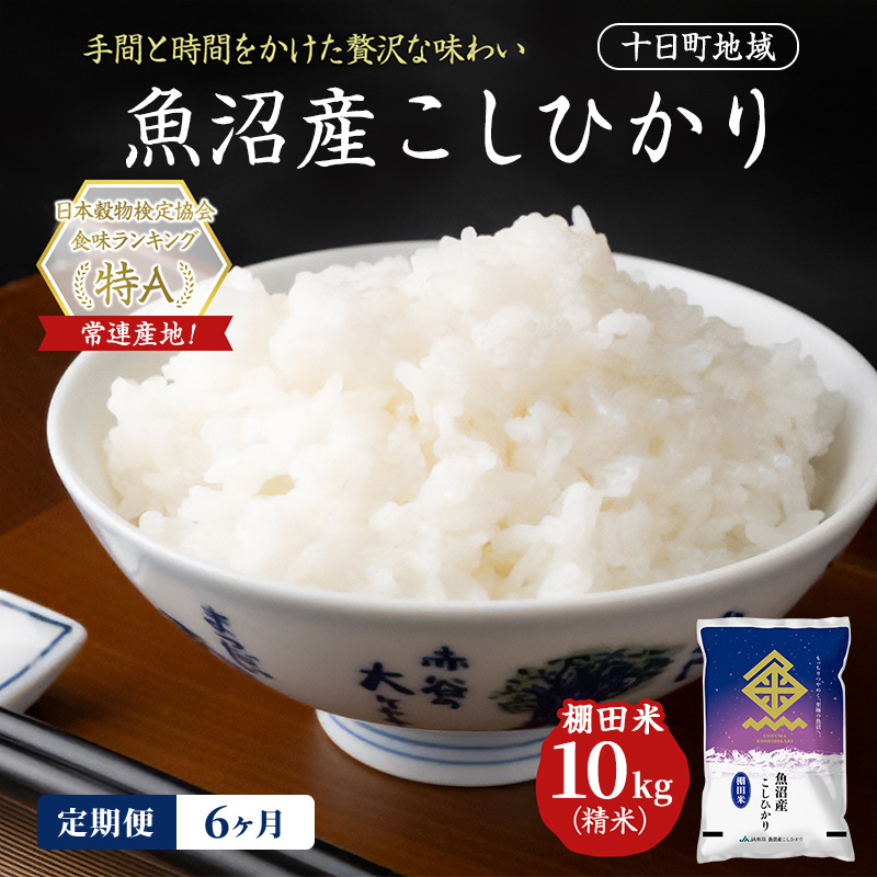 【6ヶ月定期便】魚沼産こしひかり 棚田米(十日町地域) 精米 10kg(5kg×2) 米 お米 コシヒカリ 定期 十日町市