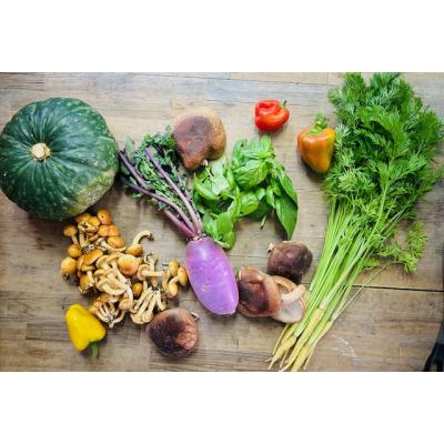 ふるさと納税 山口市 美味しいお米と野菜の詰め合わせセット【白米2キログラム】 D421