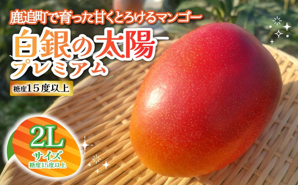 
            北海道鹿追産　白銀の太陽プレミアム（糖度１５度以上）　２L×１玉【 ふるさと納税 人気 おすすめ ランキング マンゴー マンゴーフルーツ 果物 くだもの 果実 フルーツ ハウス栽培マンゴー 北海道 鹿追町 送料無料 】 SKZ009
          
