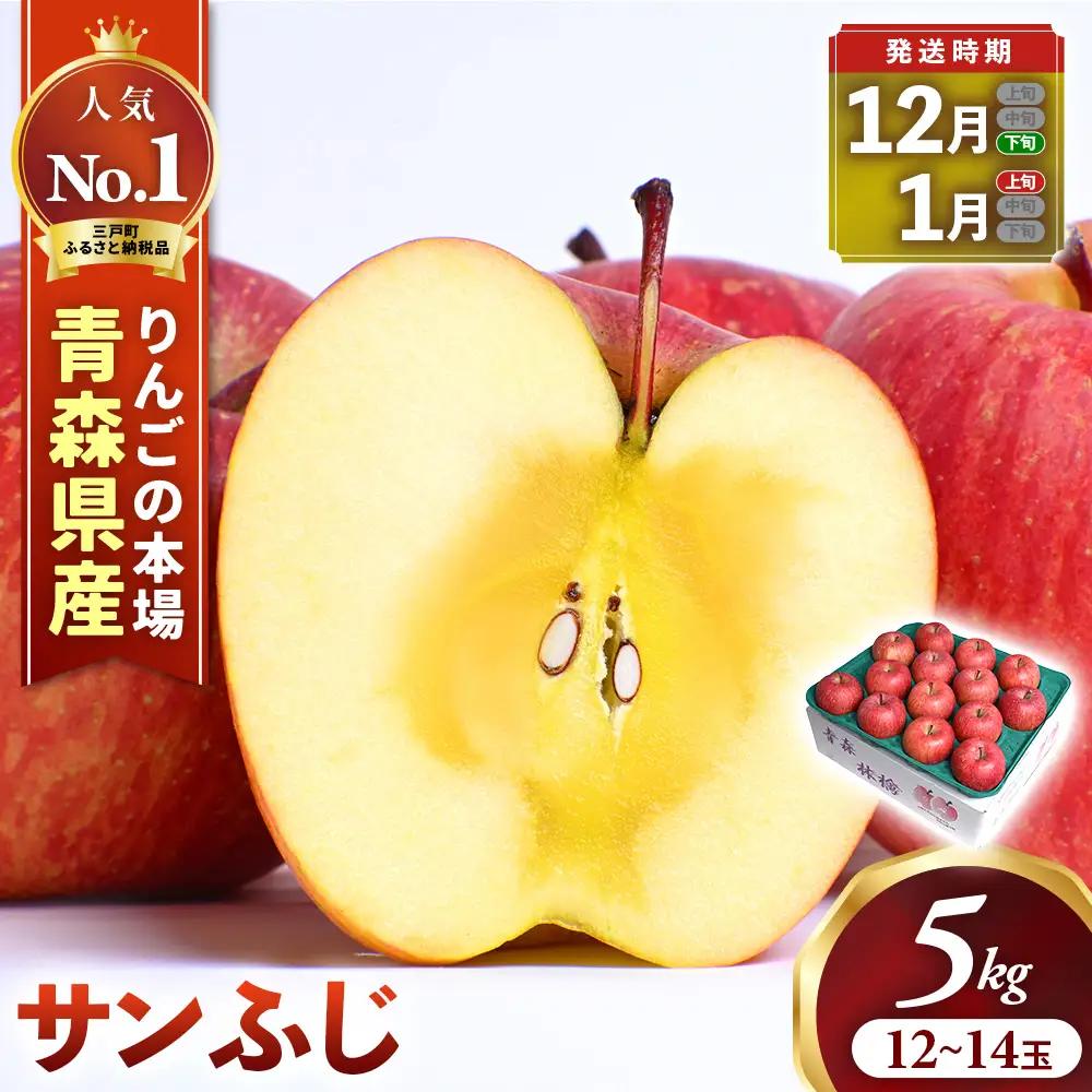 青森県産りんご サンふじ 約5kg 12月下旬～ りんご
