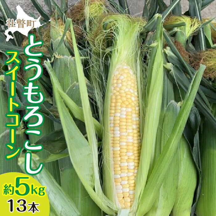 【ふるさと納税】＜2025年8月上旬よりお届け＞北海道壮瞥産 とうもろこし（スイートコーン）13本 約5kg ふるさと納税 人気 おすすめ ランキング トウモロコシ とうもろこし スイートコーン 野菜 甘い 北海道 壮瞥町 送料無料 SBTN001