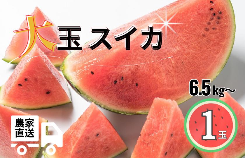 
            大玉スイカ（天竜）　1玉（6.5kg以上）
          