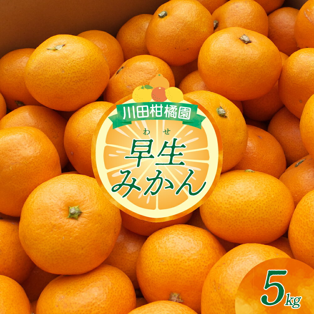 【ふるさと納税】川田柑橘園 広島 大長産 「 早生 みかん 」5kg ミカン 蜜柑 フルーツ 果物 柑橘 お取り寄せグルメ 国産 国内産 コク 爽やかな酸味 甘味 濃厚 大長 大長みかん 温州みかん ジューシー 数量限定 期間限定 先行予約 広島県 呉市
