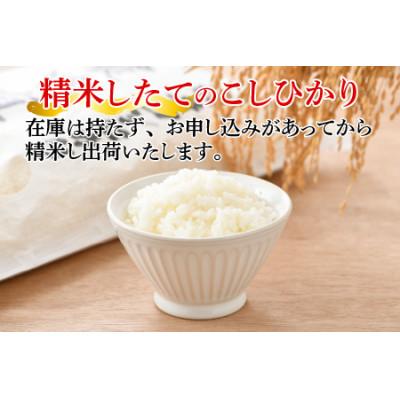 ふるさと納税 小浜市 【毎月定期便】農家直送米福井こしひかり5kg全3回 |  | 01