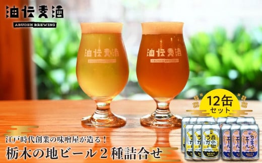 江戸時代創業の味噌屋が造る！栃木の地ビール２種詰合せ【12缶セット】【お酒 さけ 人気 おすすめ  ギフト】