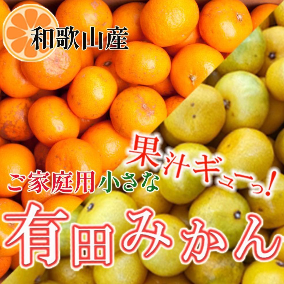 【ふるさと納税】［先行予約］家庭用 小さな有田みかん10kg+250g（傷み補償分）［2026年10月初旬から2027年1月末日頃順次発送予定］［IKE223］ | 柑橘 蜜柑 有田みかん みかん フルーツ 果物 くだもの 食品 人気 おすすめ 送料無料