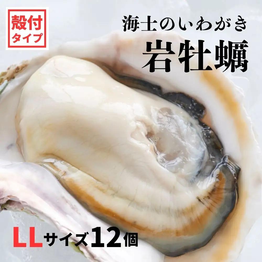 牡蠣 LLサイズ 12個 牡蠣