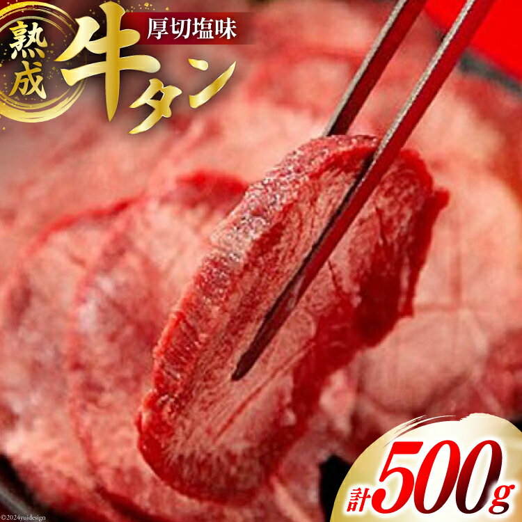 【ふるさと納税】牛肉 佐利 2日熟成 牛タン 8mmカット 厚切 塩味 500g (約4～6人前) [佐利 宮城県 南三陸町 30ag0010] 精肉 肉 牛肉 牛たん 牛タン ぎゅうたん タン タン塩 厚切り 味付き 肉 牛 冷凍 焼肉 焼き肉 BBQ 宮城