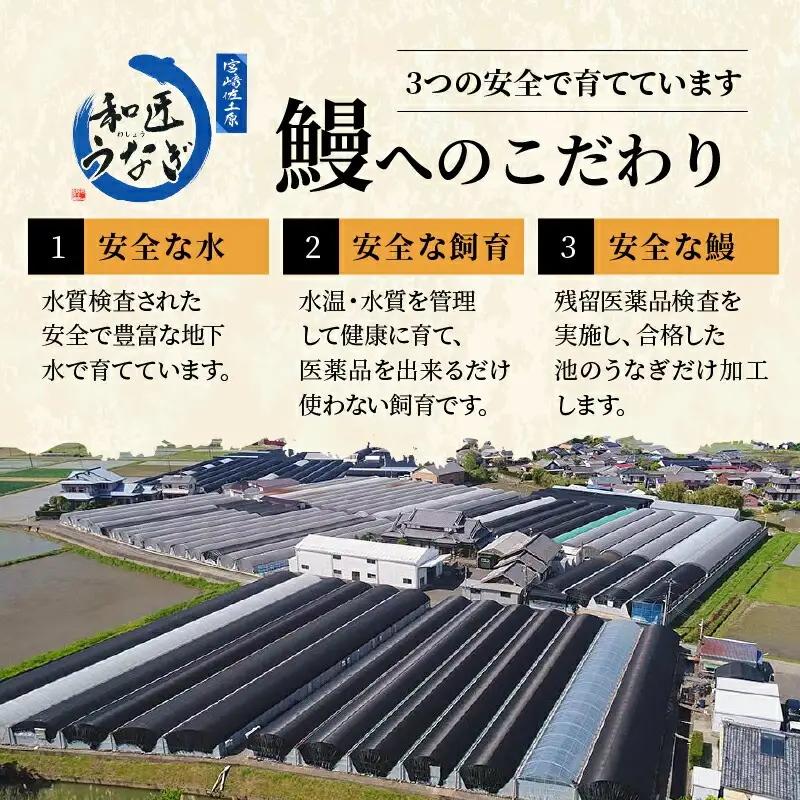 うなぎ 蒲焼 うなぎ[国産 きざみ 10パック 和匠 備長炭手焼き 1kg]