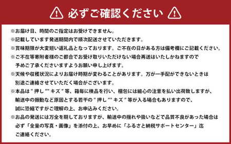 岡山白桃 エース 4～6玉 約1kg 岡山県産 （早生種・中生種） 【2026年7月上旬～8月下旬迄発送予定】 ／ 白桃 桃 もも 果物 果実 フルーツ 岡山県 美咲町 冷蔵