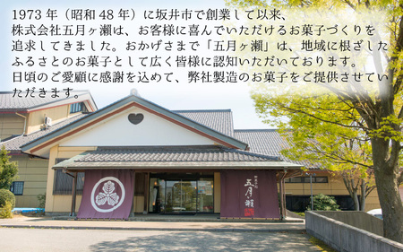 五月ヶ瀨 セレクション (五月ヶ瀬 6枚・メイシャローズ 10枚) 焼き菓子 和菓子 銘菓 煎餅 和スイーツ [A-4118]
