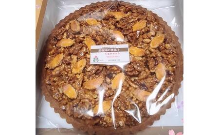 ＜2025年12月10日頃よりお届け＞くるみたっぷりタルト大(直径約20cm) タルト お菓子 くるみ ケーキ スイーツ　SBTI004